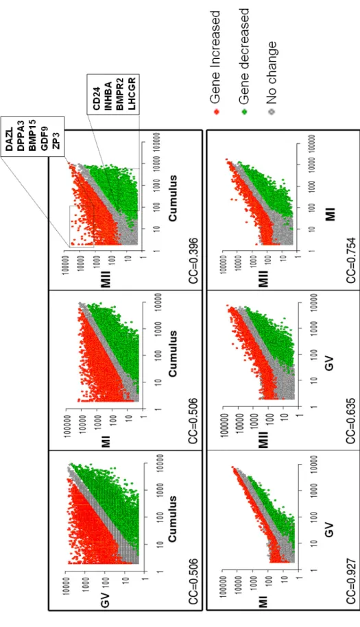 Figure 1A Assou et al.