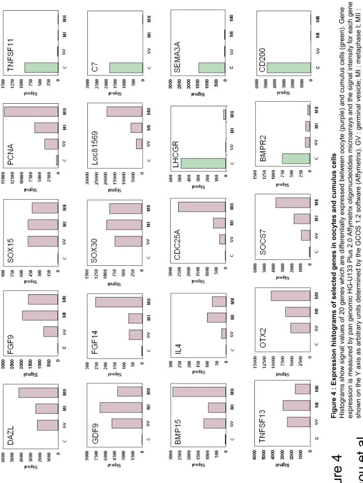 Figure 4 : Expression histograms of selected genes in oocytes and cumulus cells Histograms show signal values of 20 genes which are differentially expressed between oocyte (purple) and cumulus cells (green)