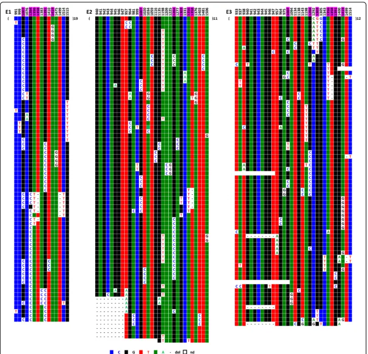 Figure 3 ClustalW alignment of repeats from alphoid array D21Z1 of chromosome 21, E1-E3 (E4-E6 are shown in Additional file 1)