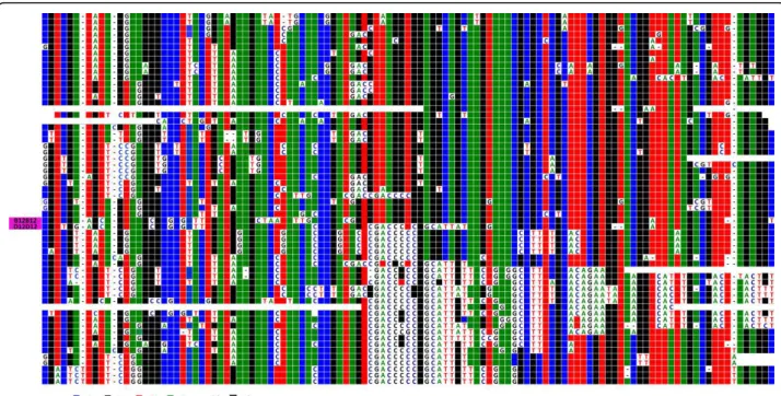 Figure 5 ClustalW alignment of the sequenced repeats of D1Z7 from hybrid cell line GM 13139