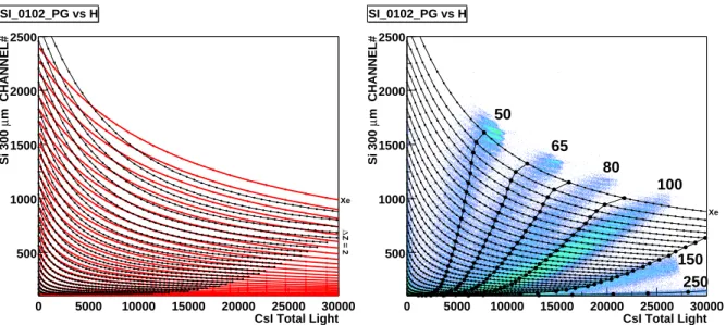 Figure 3.7: First check of calibration with the Pˆ arlog formula with Si(300 µm)-CsI matrices