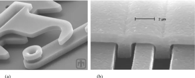 Figure 3.5. Photo MEB d’un dimple sous une couche de polysilicium suspendue (Courtesy, Sandia  National Labs - MEMS, S&amp;T Department, www.mems.sandia.gov)