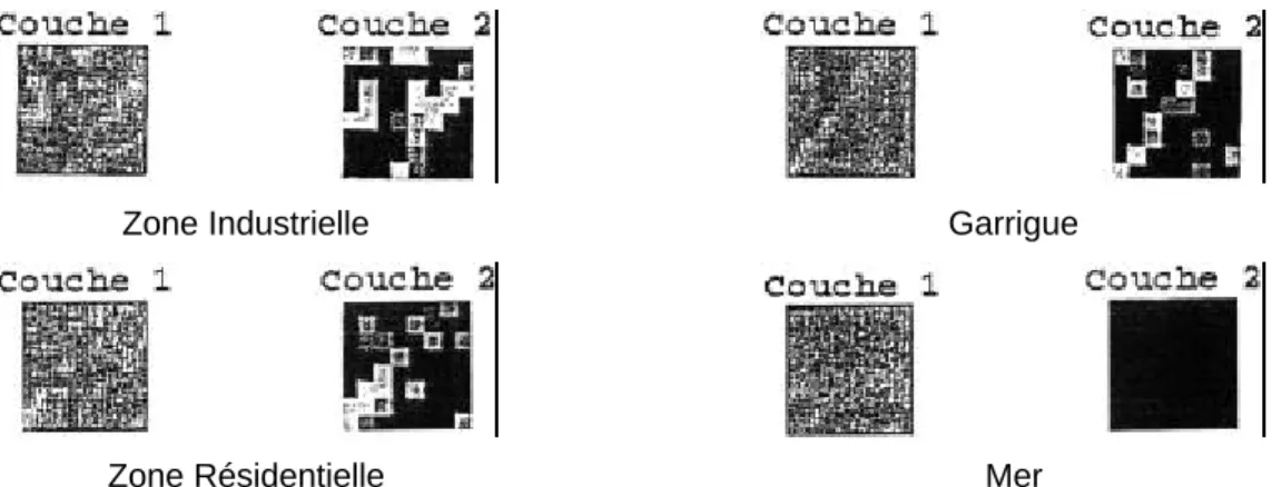 Figure 4.2 : Exemples du traitement effectué par la couche 2 du réseau