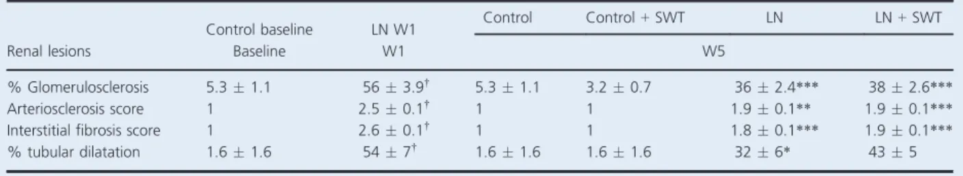 Table 2. Quantification of renal lesions in controls, L-NAME-treated rats 1 week after L-NAME removal (LN-W1), controls treated by SWT (C + SWT), L-NAME-treated + removal rats (LN) and L-NAME + SWT-treated rats (LN + SWT) at W5.