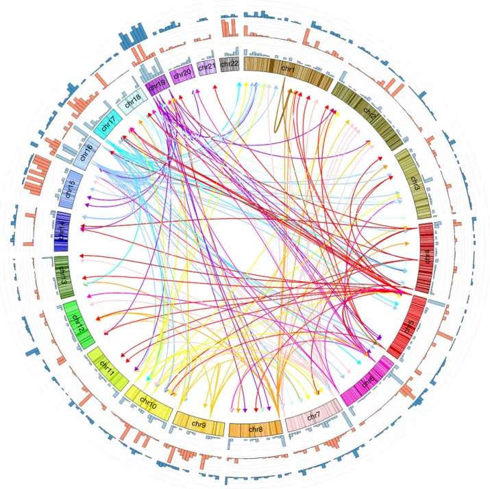 Figure 1 | Enrichment of features in regions harbouring SNPs involved in distal SNP–CpG associations