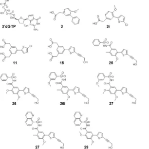 Fig 1. Structures of N-pocket inhibitors. N-pocket inhibitors listed in order of increasing potency in DENV enzyme and replicon cell-based assays
