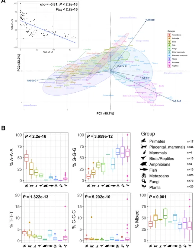 Figure 6. Two distinct loop composition trends exhibited by G4-L1 motifs in various eukaryotic genomes