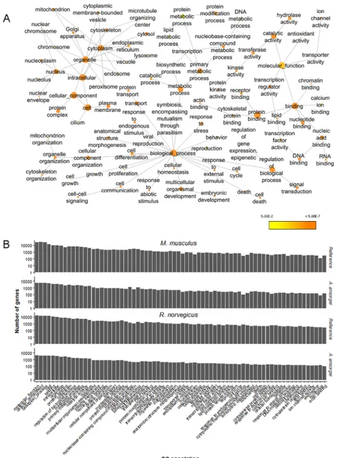 Fig 4. Enrichment analysis of Gene Ontology annotations. A) Enrichment of GOSlim annotations in the molecular function, cellular component, and molecular process subgroups