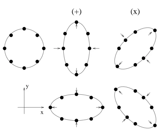 Figure 1.1: Eet d'une onde gravitationnelle sur un ensemble de particules test, pour les deux polarisations h + et h 