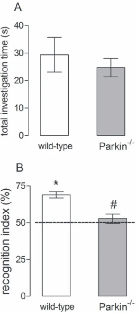 Figure 2. Effects of parkin genetic deletion on the spatial memory performance. (A) total investigation time by wild-type and parkin 2/2 mice during the training session