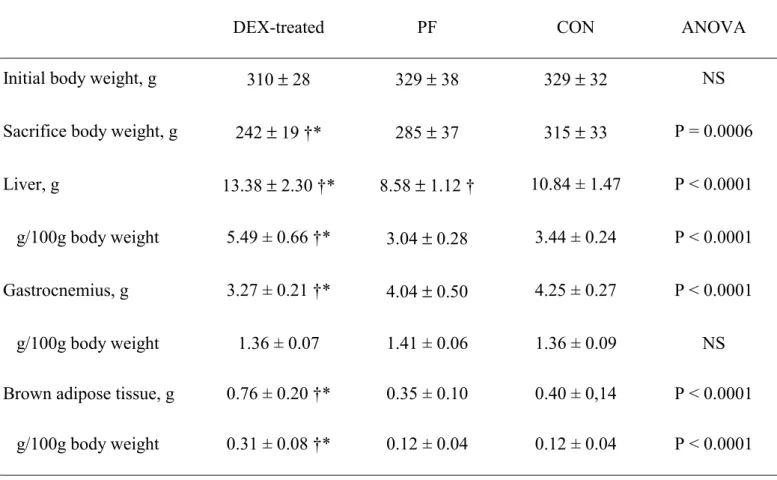 Table 1. Body weight and organ mass: liver, gastrocnemius muscle and interscapular brown adipose tissue  in pair-fed (PF), control (CON) and dexamethasone (DEX)-treated rats