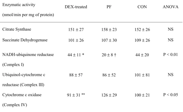 Table 2.   Mitochondrial enzyme activities in liver 600 g homogenate from pair-fed (PF), control (CON)  and dexamethasone (DEX)-treated rats
