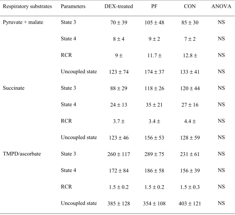 Table 5. Respiratory parameters of gastrocnemius isolated mitochondria from pair-fed (PF), control  (CON) and dexamethasone (DEX)-treated rats