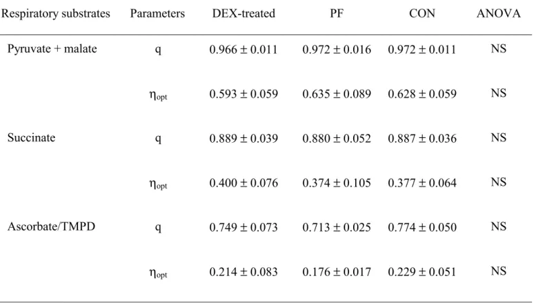 Table 7. Thermodynamic degree of coupling (q ) and optimal efficiency ( ηηηη opt  ) of the oxidative  phosphorylation in gastrocnemius isolated mitochondria from pair-fed (PF), control (CON) and 