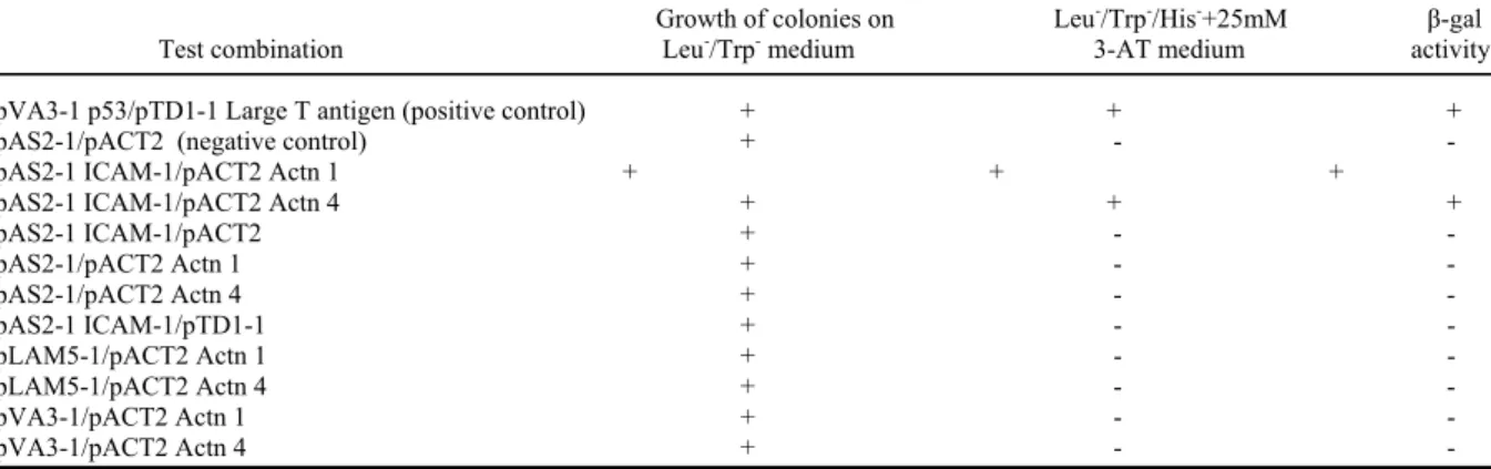 Table I.  Identification of positive clones by yeast two-hybrid a