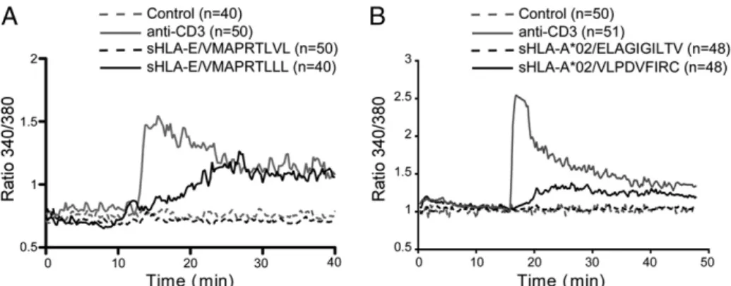 FIGURE 2. CD8 T cell activation after stimulation by sHLA-E monomers. HLA-E–restricted T cells were stimulated by antigenic HLA-E*0101/VMAPRTLLL or irrelevant HLA-E*0101/VMAPRTLVL monomers (0.2 m M)