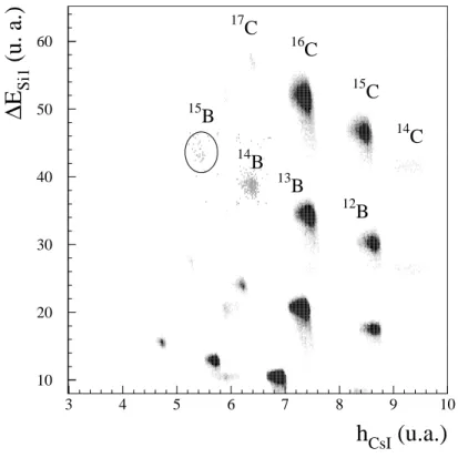 Fig. 3.8 – Noyaux présents dans le faisceau de calibration de la première expérience pour Bρ=2,4343 Tm.