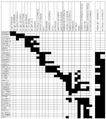 FIGURE 1. STS content of Igh YACs. The STS content of each clone was determined by PCR with all the primer sets described in Table I