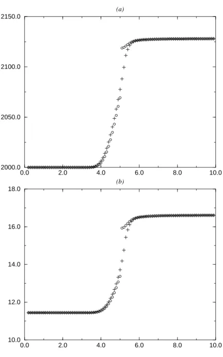 Figure 1.2: Case 3.2: velocity (a) - γ(p, ρ) ˆ (b)