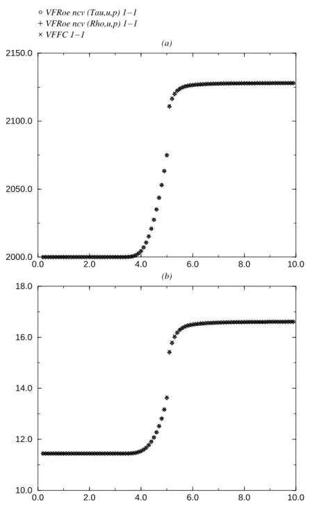 Figure 1.4: Case 3.2: velocity (a) - γ(p, ρ) ˆ (b)