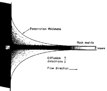 Figure 5 – Représentation schématique du transport de solutés pour une injection constante C 0  à l'extrémité  gauche de la fracture [Neretnieks, 1980]