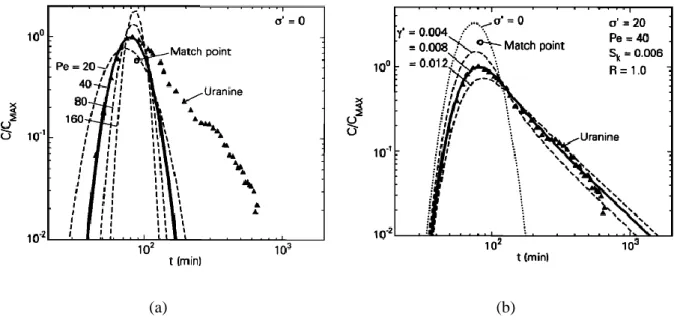 Figure 15 - Estimation des caractéristiques du site de craie fracturé de Béthune (France) [Moench, 1995]