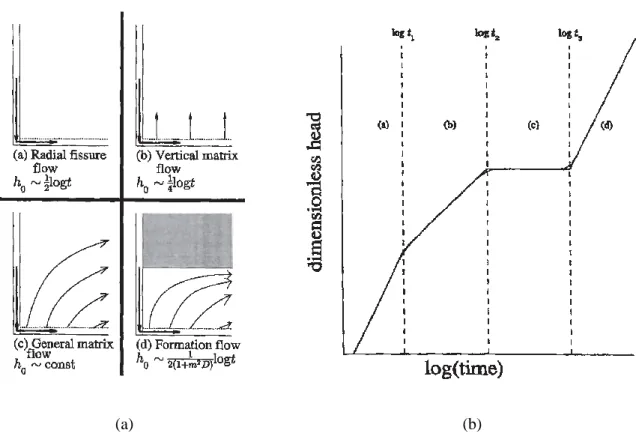Figure 17 –Modèle expliquant la réponse du site de roches volcaniques du Yucca Mountain (US) à un essai de  pompage [Young, 1992]