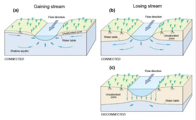 FIGURE  2.14:  Different  types  of  surface  water/groundwater  interactions:  (a)  a  gaining  stream receiving water from the groundwater system, (b) a losing stream discharging water  to  the  groundwater  system,  (c)  a  disconnected  losing  steam  