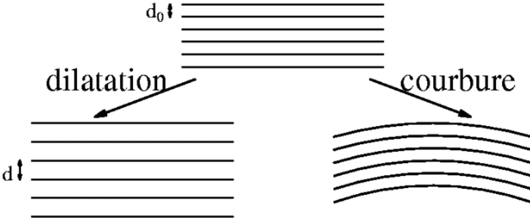 Fig. 1.7 – Les d´ eformations ´ elastiques des smectiques se d´ ecomposent en dilatation et courbure