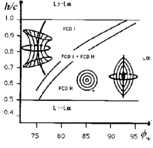 Fig. 3.1 – Exemple de diagramme d’- d’-orientation des lamellaires dans le  qua-ternaire dodecyl sulfate de sodium (SDS), pentanol, eau et dodecane (d’apr` es Roux [70]).