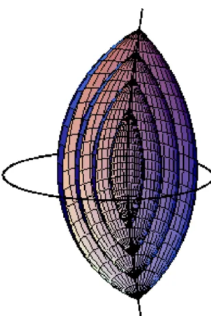 Fig. 3.4 – Mod´ elisation des d´ efauts de courbure gaussienne positive par des  co-niques focales de 2 e esp` ece, selon [62, 72].