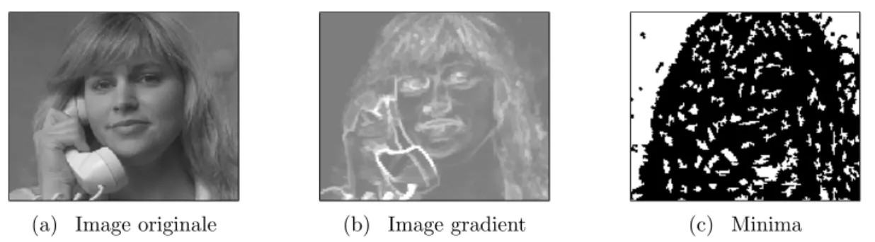 Fig. IV.18 – Image de test : gradient simplifi´ ee de Susie QCIF (176 × 144).