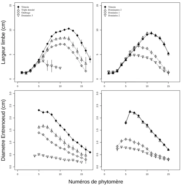 Figure 8: Largeurs des limbes et diamètres des entrenœuds en fonction du numéro de phytomère pour les différents traitements