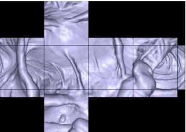 Figure 3.21. Unfolding the colon surface:.