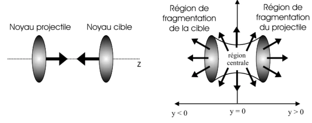 Figure 1.6 - Représentation schématique de la collision de deux noyaux ultra-relativistes avant (à gauche) et après collision (à droite)