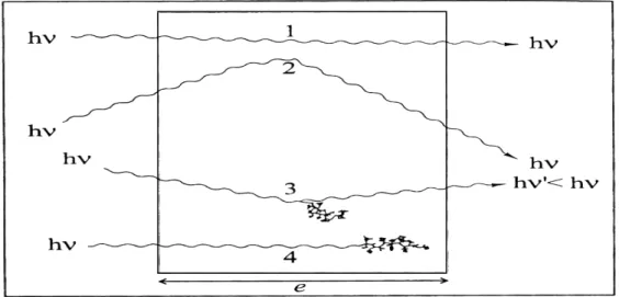 Figure I-2 : les diverses interactions possibles du photon avec la matière [FOO.94] 