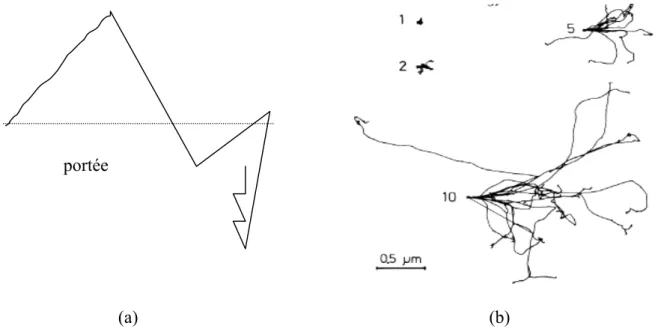 Figure I-11 : (a) schématisation de la notion de portée pour un électron incident. 