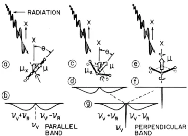 Figure III.5 : Schéma présentant l’origine des bandes parallèles et perpendiculaires dans les  spectres de molécules linéaires [COL.90] 