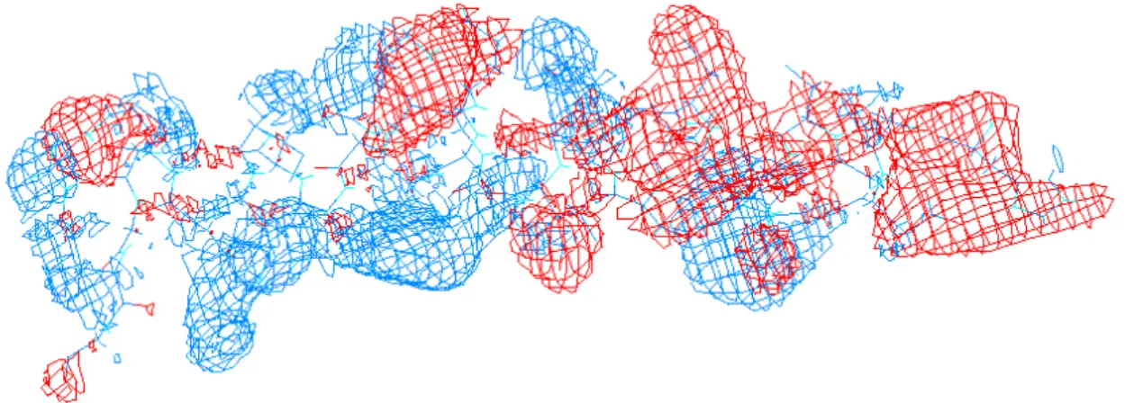 Figure 17. Vue latérale des potentiels de lipophilie positifs (en bleu) et négatifs (en rouge) du GLP-1-(7-36)  amide en milieu micellaire, montrant le caractère amphipatique de la molécule
