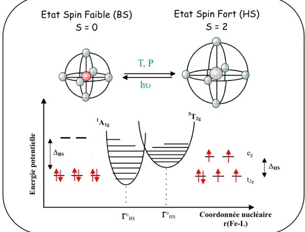 Figure I.1 : Représentation des deux états de spin de l’ion Fe(II). 