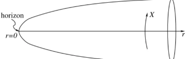 Fig. I.7: The Euclidean black hole.