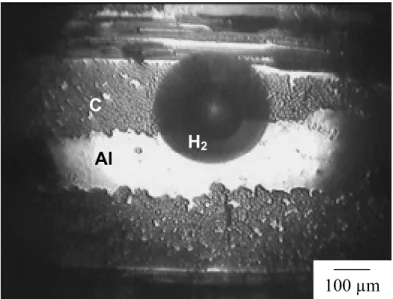 Figure I.2 : Bulle de dihydrogène se développant en surface d’un matériau composite  K139/357, immergé dans une solution chlorurée