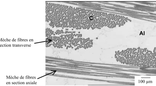 Figure I.13 : Les différents arrangements des fibres sur une section  de matériau composite carbone/aluminium (K139/357 d'E.A.D.S.)