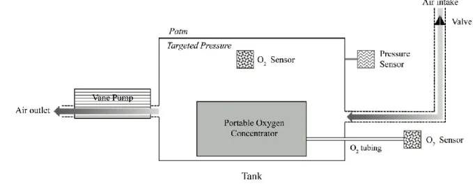 Figure 1: Description of the hypoxic chamber.  
