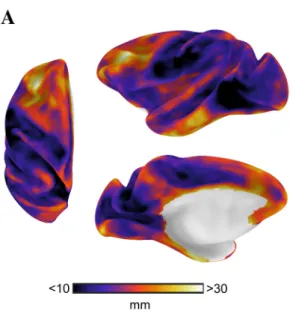 Fig. 3    Spatial distribution of functional connectivity distance (a)  was investigated with relation to locations of primary cortex