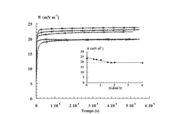 Figure III-24 : Cinétiques d’adsorption de la caséine  en fonction de la concentration en GdmCl