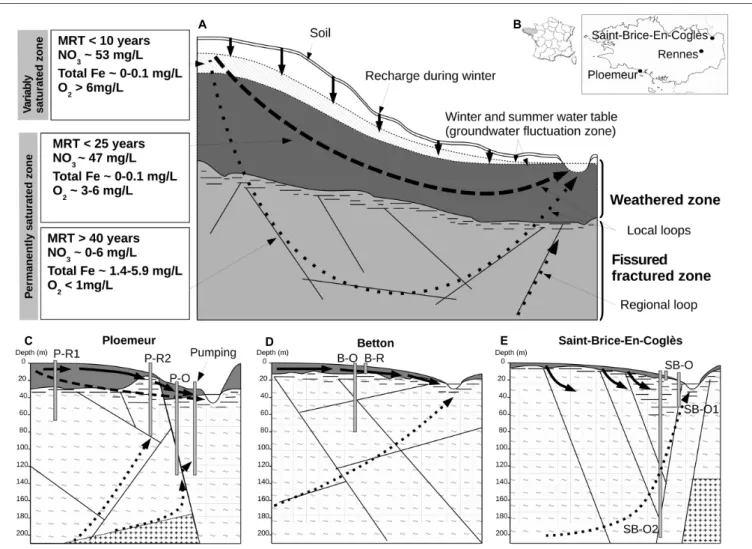 FIGURE 1 | Conceptual model of superficial and deep hydrogeologic flow paths or loops in a hard-rock aquifer and field-site characteristics