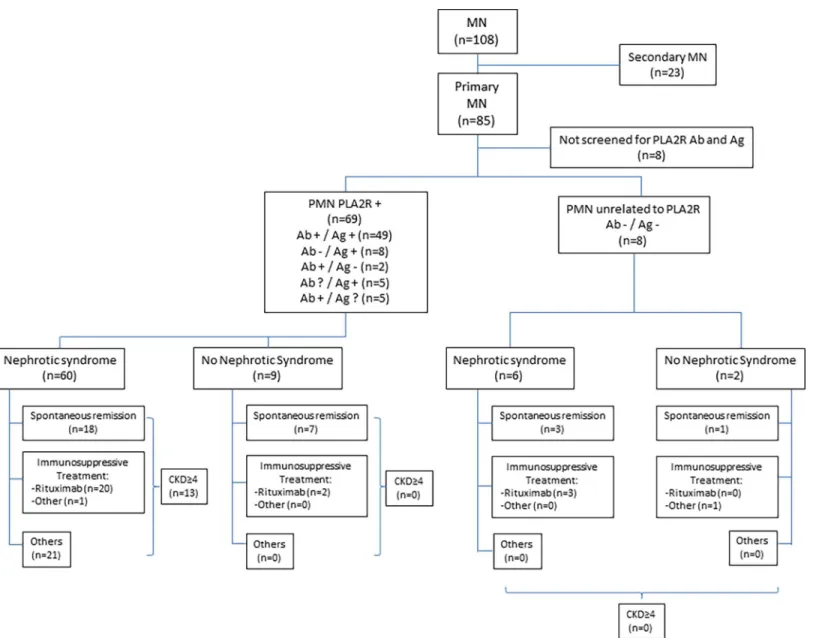 Fig 1. This flowchart depicts the patients who were enrolled in this retrospective study