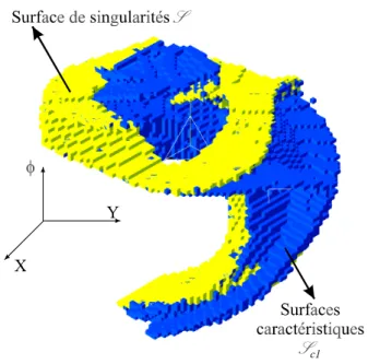 Figure 45 : Modélisation octree des singularités parallèles et de la surface caractéristique