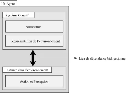 Fig. 3.4  Un agent avec ses deux parties et son lien de dépendance bidirectionnel